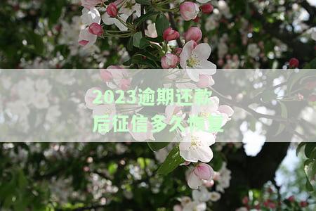 2021年逾期还款新政策