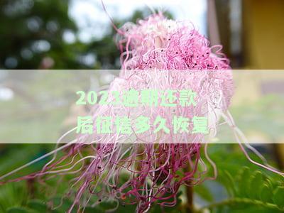 2023逾期还款后征信多久恢复