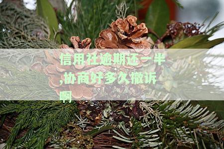 信用社逾期还款最新政策及解决方法查询