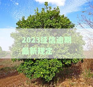 2023征信逾期最新规定是什么