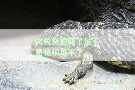 微粒贷逾期会影响借呗使用吗