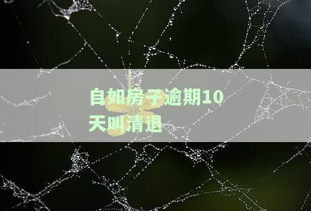 自如房子逾期10天叫清退吗？