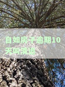 自如房子逾期叫真的会清退吗？自如房租逾期会怎样？