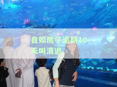 自如房子逾期租住怎么办，会被清退吗？