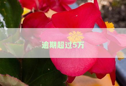 逾期超过5万就是诈骗吗的定义和处理方式