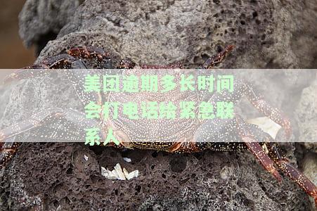 美团逾期多长时间会打电话给紧急联系人呢？
