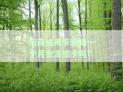 招商信用卡逾期一个月会冻结卡吗安全吗