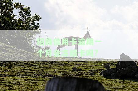 招商银行逾期一个月还能继续使用信用卡吗