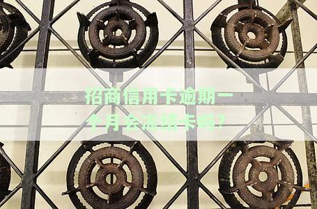 招商逾期一个月会停卡吗？