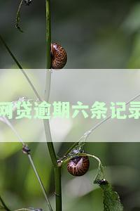 网贷逾期六条记录