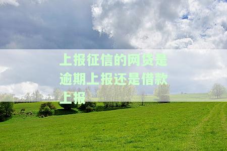 网贷平台上报逾期征信容易么