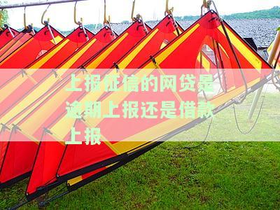 网贷公司上报征信需要什么程序和手续