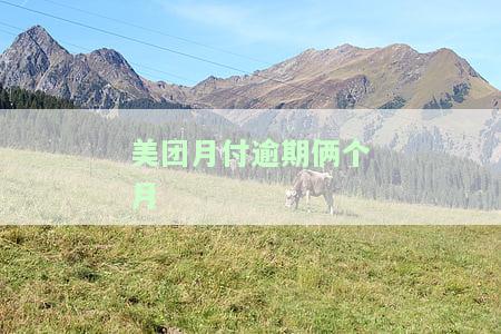 美团月付逾期俩个月