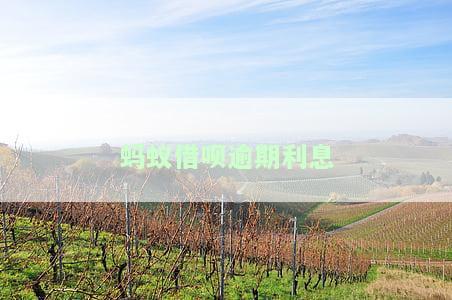 蚂蚁借呗逾期利息怎么算及金额