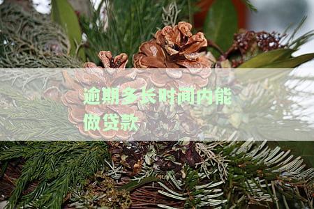 逾期多长时间可以贷款买车、房子和手机？
