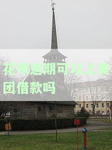 花呗逾期可以上美团借款吗