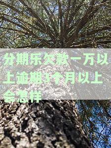 分期乐欠款一万多点,逾期几个月了会被起诉吗？