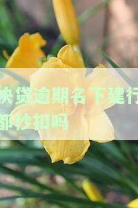 快贷逾期名下建行都秒扣吗，如何处理？
