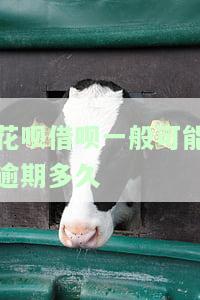 花呗借呗逾期多久会被起诉,真的会上门吗？