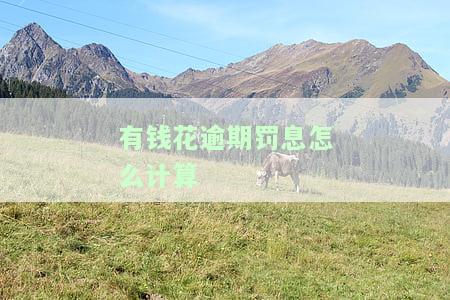 有钱花逾期了利息罚息可以勉和减吗？逾期利息怎么算？罚息一万一天多少？罚金可以不还吗？