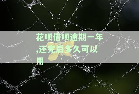 花呗借呗逾期半年后还了多久可以用，真的会上征信吗？