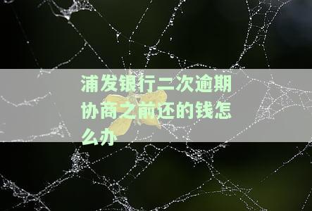 浦发银行协商还款后又逾期还能再协商吗
