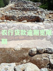 农业银行贷款逾期还款对征信有影响及补救措