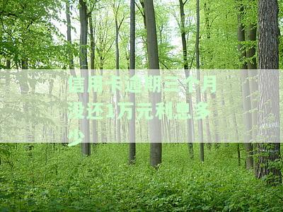 信用卡1万元逾期3个月利息及协商处理