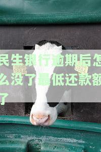 民生银行逾期一天后只还了最低额度会被停卡吗？