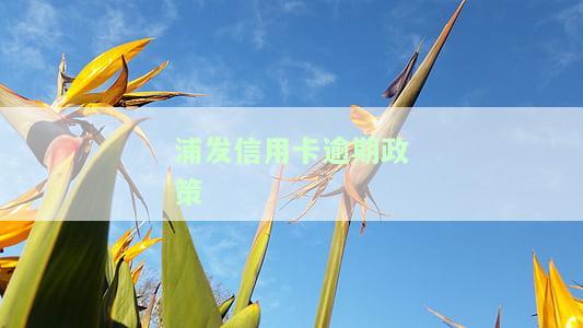 浦发信用卡逾期政策