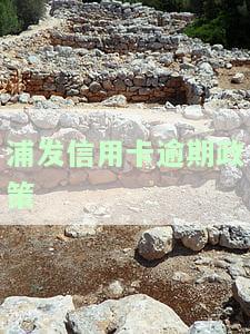 2021年浦发信用卡逾期新法规