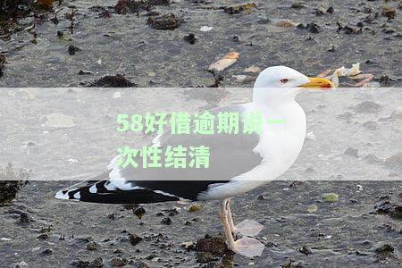 58好借要求一次性结清是真的吗？