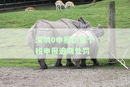深圳0申报企业个税申报逾期处罚