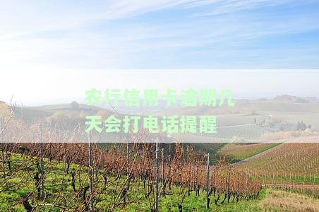 农行信用卡逾期几天会打电话提醒还款，对征信有影响吗？
