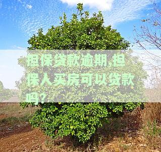 担保贷款逾期,担保人买房可以贷款吗？