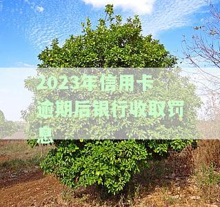 2023年信用卡逾期后银行收取罚息合法吗的原因