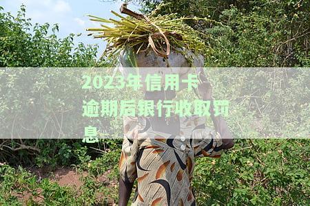 2023年信用卡逾期后银行收取罚息怎么办理及相关政策
