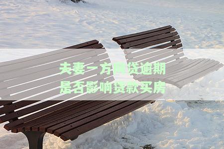 夫妻一方网贷逾期影响买房吗？如何应对？