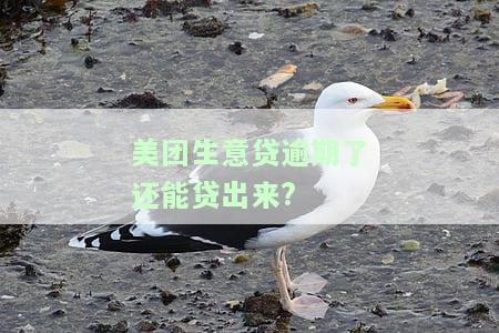 美团生意贷逾期1天忘记还了有影响吗？如何处理？