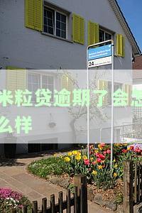 米粒贷逾期了会怎么样