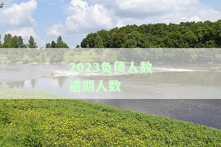 2021年负债逾期的人有多少，2020年负债逾期的人有多少，全国负债逾期人数