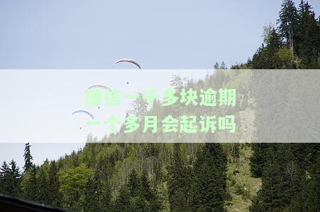 捷信一千多块逾期一个多月会起诉吗，安全吗？
