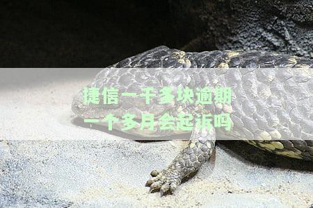 捷信一千多块逾期一个多月会起诉吗