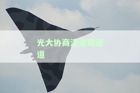光大银行协商还款不成功