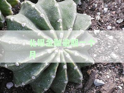 北银逾期1700说要上我家外访是真的吗