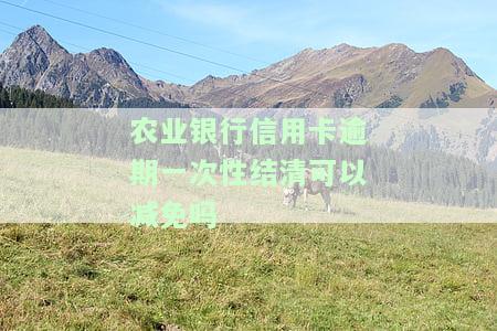 农业银行信用卡逾期一次性结清是否可以减免？