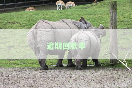 逾期回款率如何算及相关计算公式