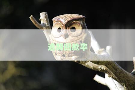 逾期贷款回收率计算公式