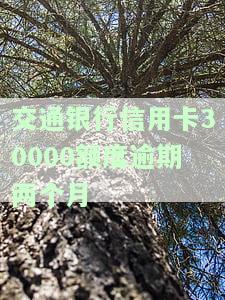 欠交通银行信用卡25000,逾期一个半月了，请问如何处理？