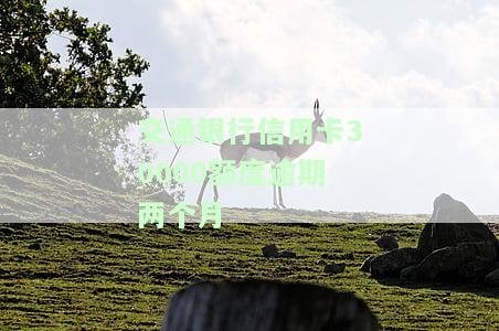 交通银行信用卡30000额度逾期两个月